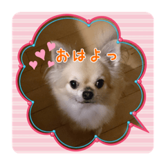 Yuina_My Dogs