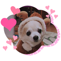 Kazuki_20191214224245