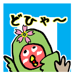 Lovebird桜ちゃん