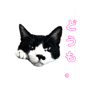 Ruto_20191214213227