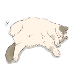 GACHAKO. The beloved cat