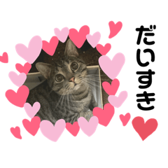 nanana_20191215032302