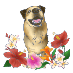 Dog and Okinawa nature stickers
