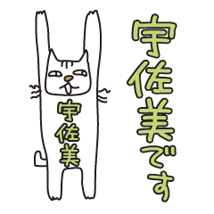Only for Mr. Usami Banzai Cat
