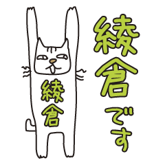 Only for Mr. Ayakura Banzai Cat