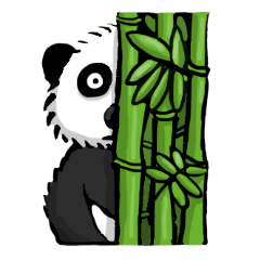 Chinese style Panda 40 special pack