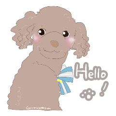 Toy poodle*Goroumaru*Hearty Daily Words