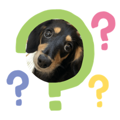 mizuki_20191214223314