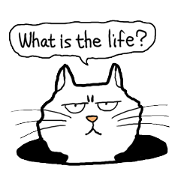 Happy cat English