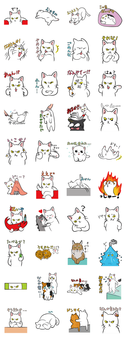 The cat of a fearful face