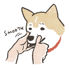 Shiba Inu (Shiba-Dog) stickers