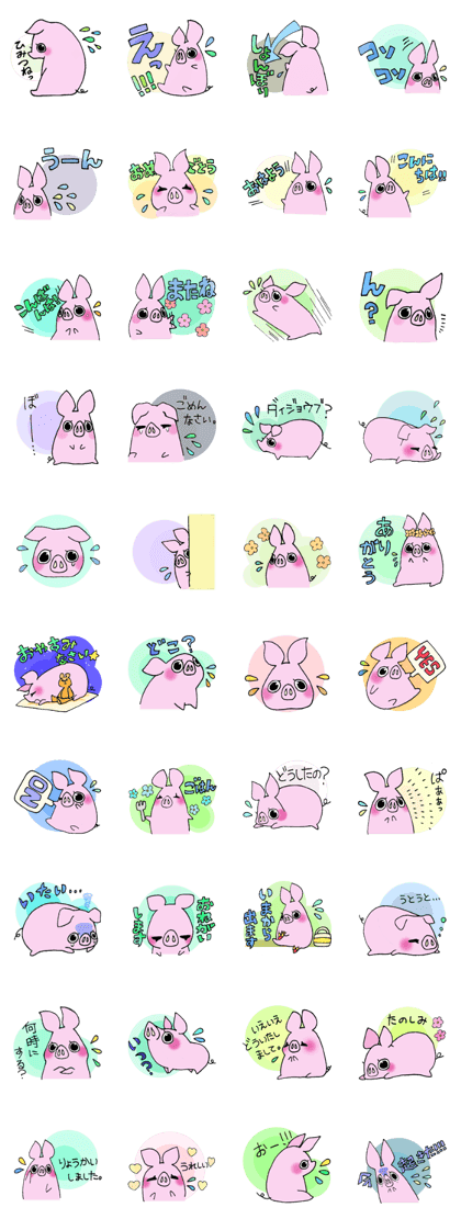 The  sticker of a lovely pig