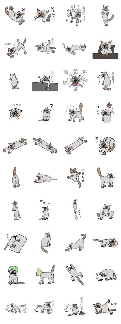 I AM BUNNOSHIN DA HOUSE CAT