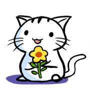 white tabby cat
