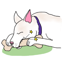 A white dog, KUNIO