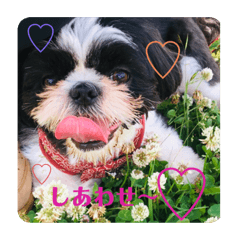 saori_20191214234306