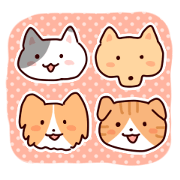 Shiba Inu KORO and his friends