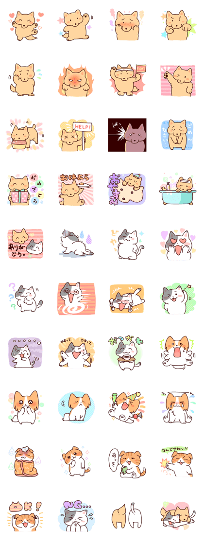 Shiba Inu KORO and his friends