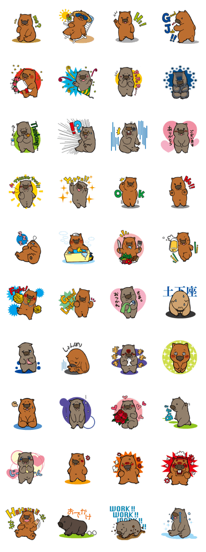 Wombat_san
