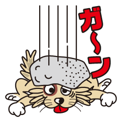 All kinds of animals