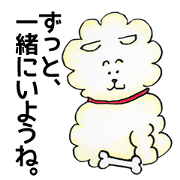 Happy Life of Funny Dog and Cute Girl