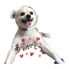 arisa_20191215001448