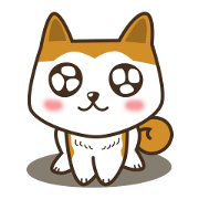 Hachi is waiting for you (Japanese Ver.)