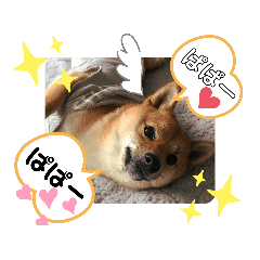 kero_20191215145123