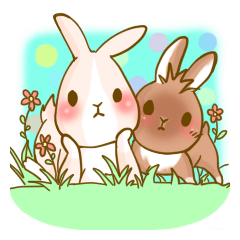 Rabbits Ami and foo