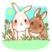 Rabbits Ami and foo