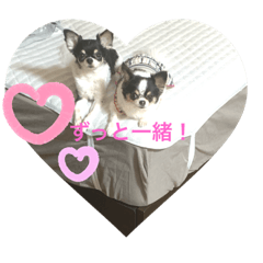chie_20191215171640