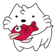 Milk of white cat