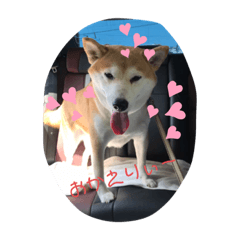 D chan 1