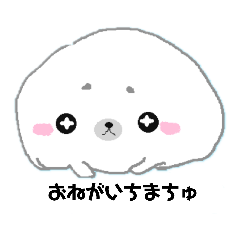あざらしぃ1
