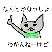 Eyebrows cat