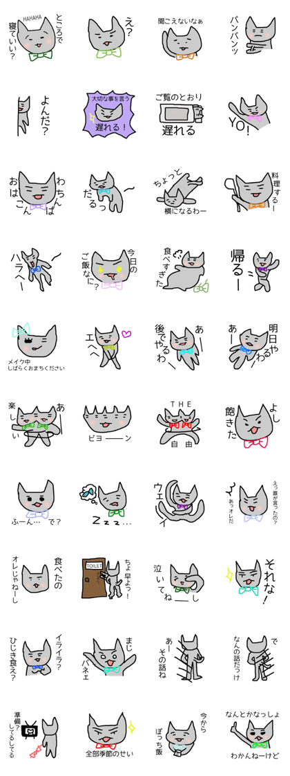 Eyebrows cat