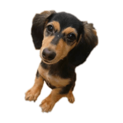 natsumi_20191215214803