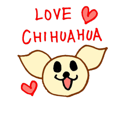 LOVE CHIHUAHUA