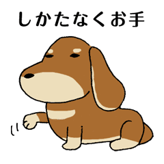 犬のスタンプ ミニチュアダックス Line スタンプ Line Store