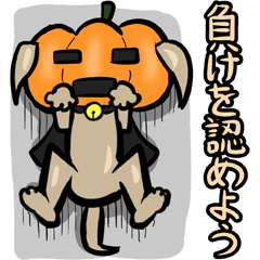 Pumpkin dog(Japanese version)