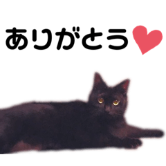 nanana_20191216044032