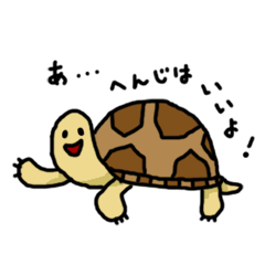 リクガメ Line スタンプ Line Store リクガメ Line スタンプ Line Store