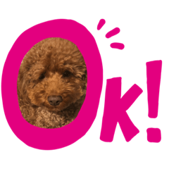 ayumi_20191216113030