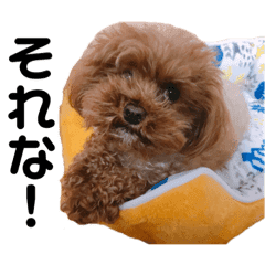 動物 Lineクリエイターズスタンプまとめ Stamplist Part 56