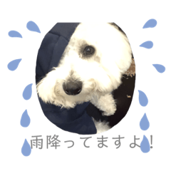 omochi_20191216121824