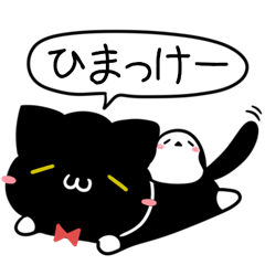 Akita dialect Socks cat