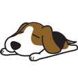 Porjai Beagle Dog