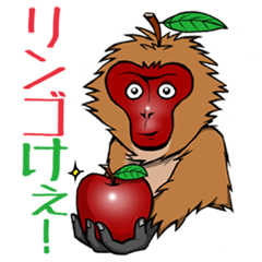 Japanese Macaque!?