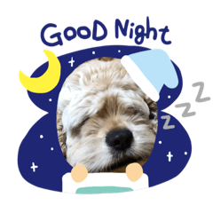 ayumi_20191216130221