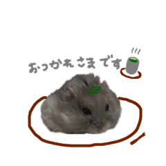 ハムスターこうしくんの季節のスタンプ Lineクリエイターズスタンプ Stamplist ハムスターこうしくんの季節のスタンプ Lineクリエイターズスタンプ Stamplist